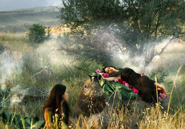 אהלה ואהליבה